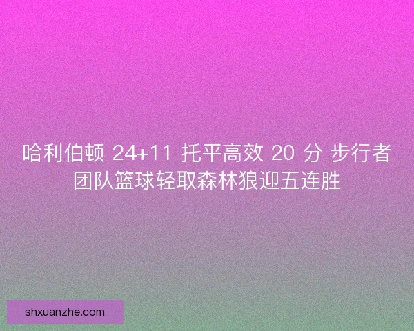 哈利伯顿 24+11 托平高效 20 分 步行者团队篮球轻取森林狼迎五连胜